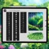 Ghibli anime Procreate nature brushes
