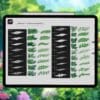 Ghibli anime Procreate nature brushes