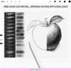 Procreate Pencil Brushes: 100 sketch, hatching, shading, color brushes