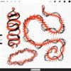 Procreate Thorn Brushes - Tattoo Linework Thorns, Outline Anime Manga Vines & Rose Stems