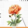 Procreate Glitter Watercolor Brushes – watercolor sparkle washes, glow strokes, grain & edges