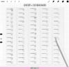 Procreate Anatomy Head Guides: 125 face bases, head planes, face ratio grids (Photoshop & CSP supported)