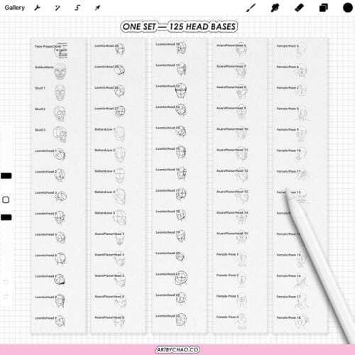 Procreate Anatomy Head Guides: 125 face bases, head planes, face ratio grids (Photoshop & CSP supported)