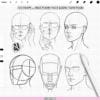 Procreate Anatomy Head Guides: 125 face bases, head planes, face ratio grids (Photoshop & CSP supported)