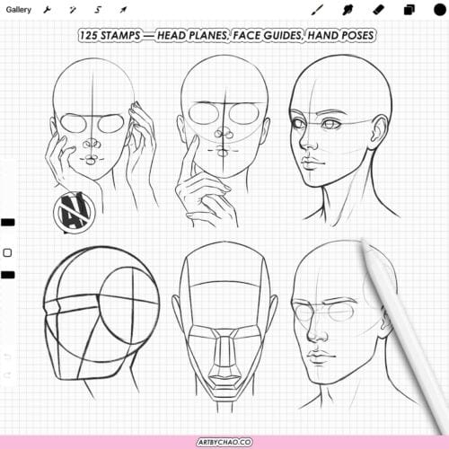 Procreate Anatomy Head Guides: 125 face bases, head planes, face ratio grids (Photoshop & CSP supported)