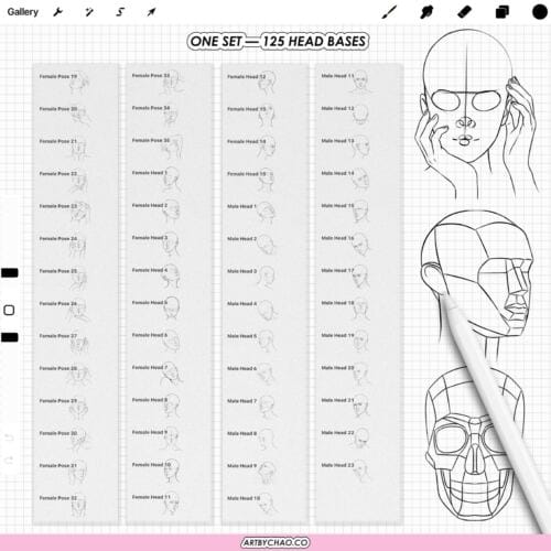 Procreate Anatomy Head Guides: 125 face bases, head planes, face ratio grids (Photoshop & CSP supported)