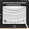 Procreate Ruffle Brushes: 100 clothing frills, folds, pleats for fashion illustration sketching